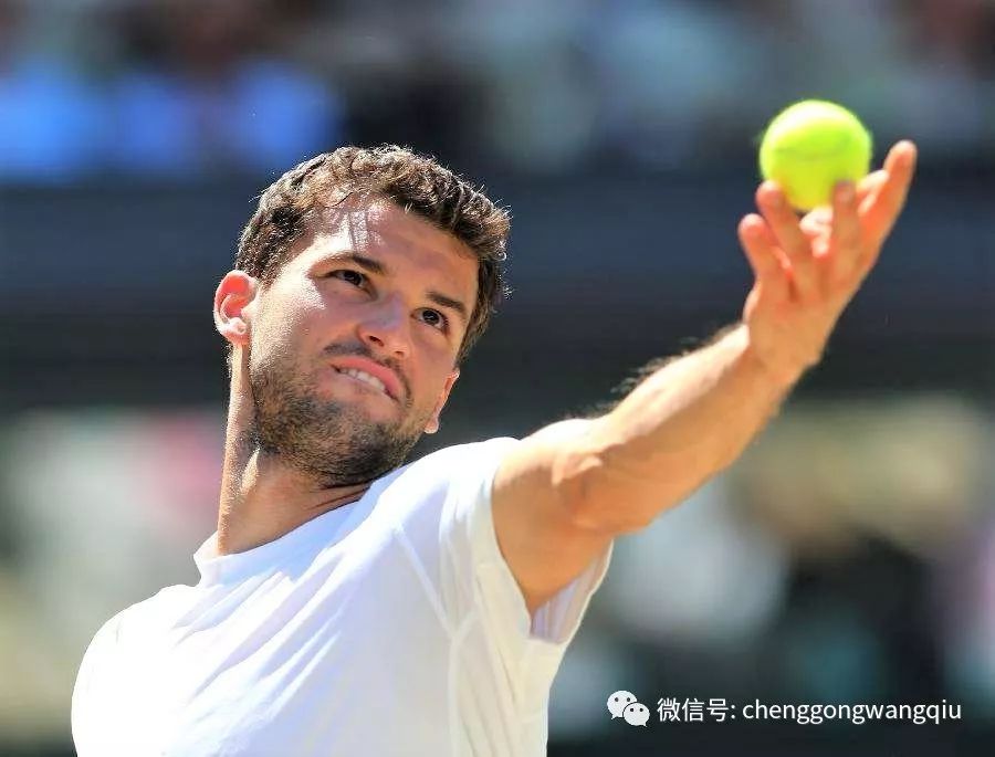 进入合同年 进入合同年